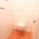 Large In With Terrace
