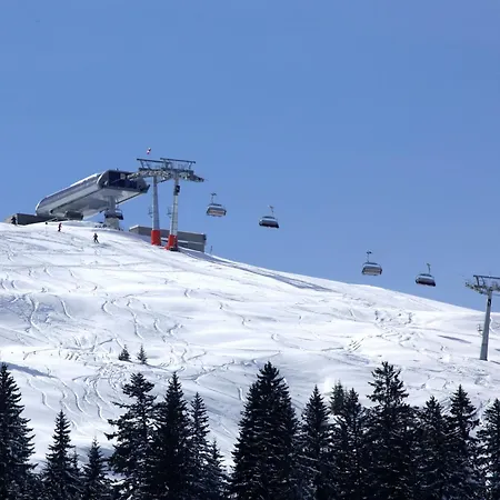 Apartment Large In With Terrace Maria Alm am Steinernen Meer