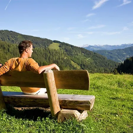 Large In With Terrace * Maria Alm am Steinernen Meer