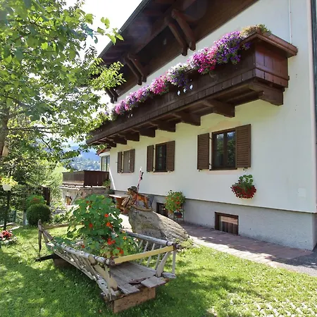 Large In With Terrace Apartment