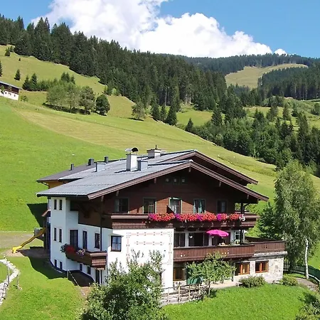 Large In With Terrace Apartment Maria Alm am Steinernen Meer