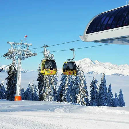 Large In With Terrace * Maria Alm am Steinernen Meer