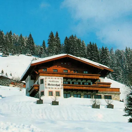 Large In With Terrace Apartment Maria Alm am Steinernen Meer