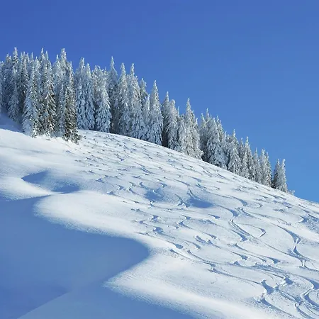 Large In With Terrace Maria Alm