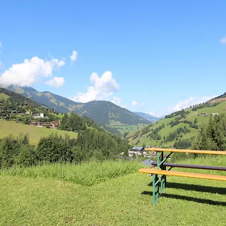 Appartement Large In With Terrace Maria Alm