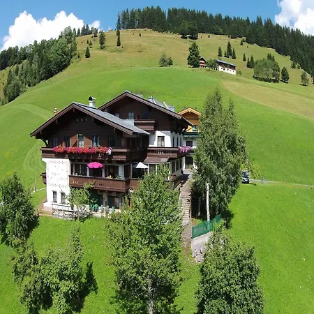 Large In With Terrace Maria Alm