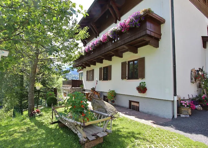 Apartment Large In With Terrace *