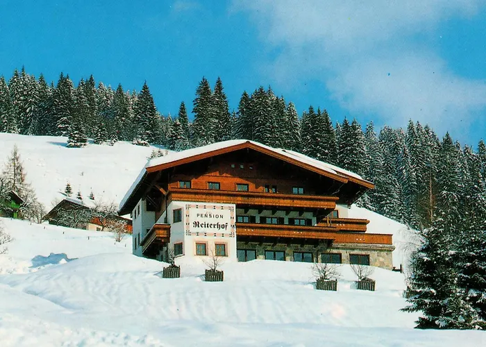 Large In With Terrace * Maria Alm am Steinernen Meer