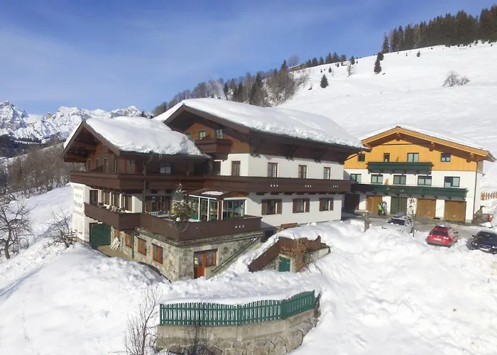 Large In With Terrace Apartment